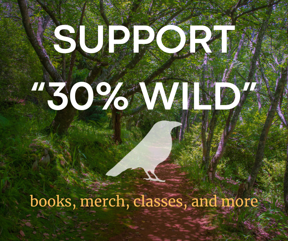 Support 30wild block2 White block text with filmy silhouette of a raven; orange lower case text below. Background is a lush painterly image of a path through the forest